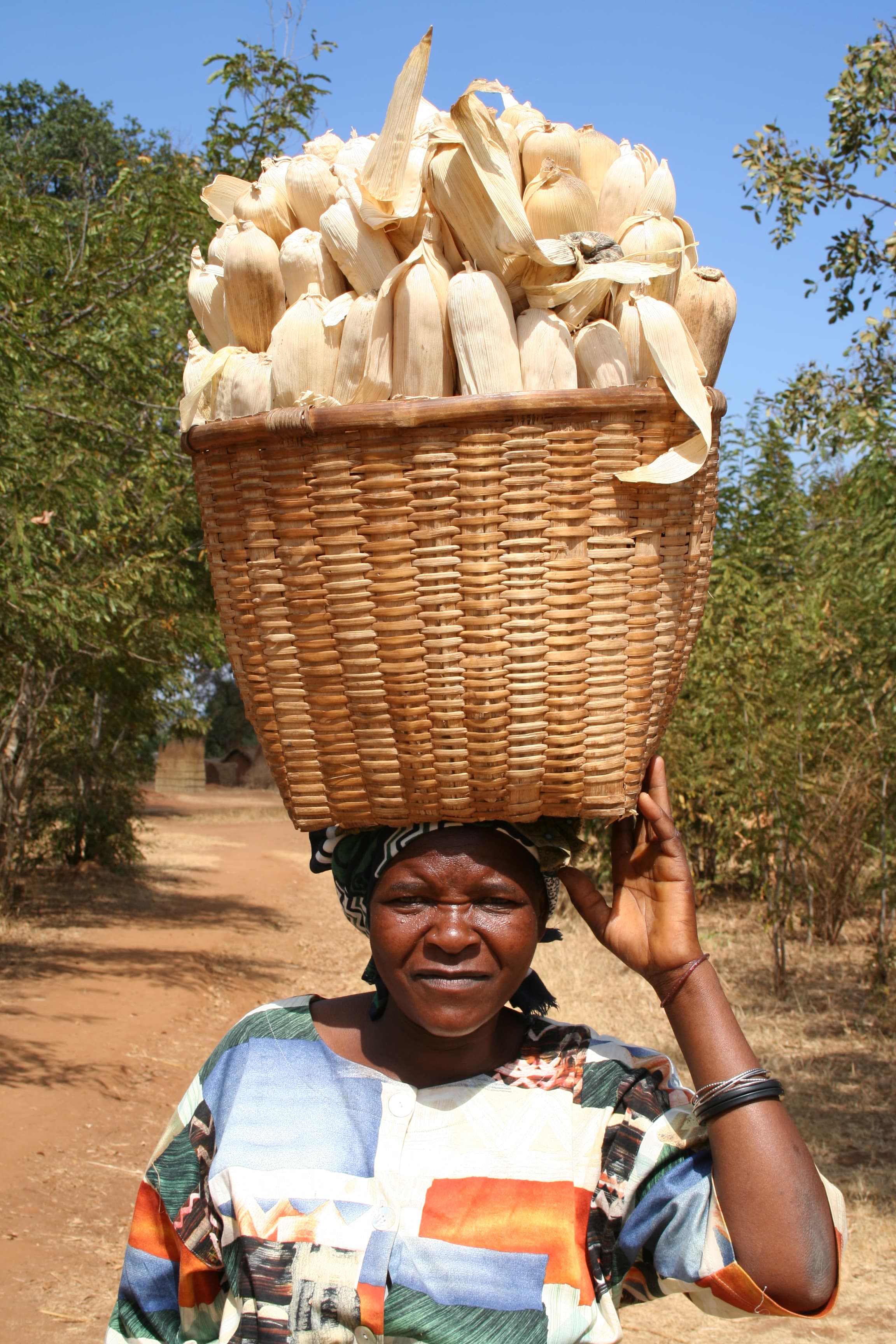 Harvest
